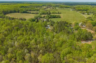 87 Barnaby Rd, Palmyra, VA 22963 - Photo 51