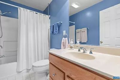 163 Saint Andrews St, Zion Crossroads, VA 22942 - Photo 39