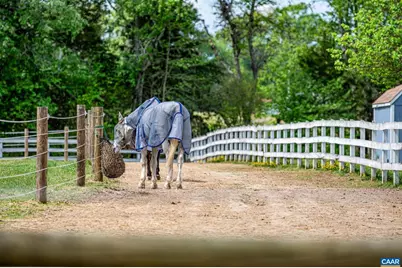 12500 Shannon Hill Rd, Louisa, VA 23093 - Photo 1