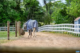 12500 Shannon Hill Rd, Louisa, VA 23093 - Photo 39
