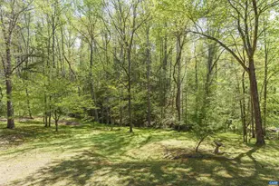 751 Jonquil Rd, Ruckersville, VA 22968 - Photo 9