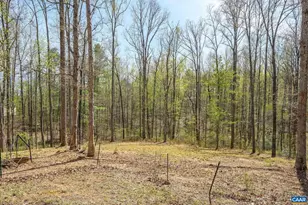 266 Swift Run Rd, Ruckersville, VA 22968 - Photo 17