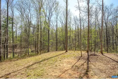 266 Swift Run Rd, Ruckersville, VA 22968 - Photo 21