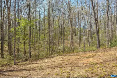 266 Swift Run Rd, Ruckersville, VA 22968 - Photo 15