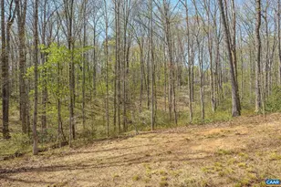 266 Swift Run Rd, Ruckersville, VA 22968 - Photo 15