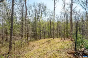 266 Swift Run Rd, Ruckersville, VA 22968 - Photo 23