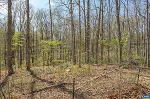 266 Swift Run Rd, Ruckersville, VA 22968 - Photo 17