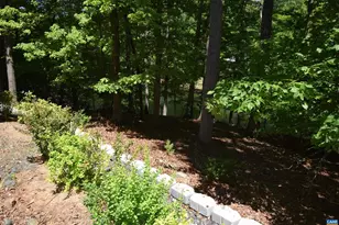 13 Condor Rd, Palmyra, VA 22963 - Photo 9