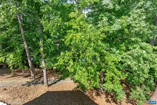 13 Condor Rd, Palmyra, VA 22963 - Photo 43