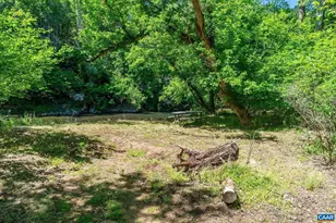 1698 Broken Island Rd, Palmyra, VA 22963 - Photo 63