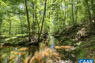 15400 James Madison Hwy, Palmyra, VA 22963 - Photo 23
