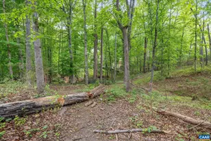 1202 Matthew Mill Rd, Ruckersville, VA 22968 - Photo 29