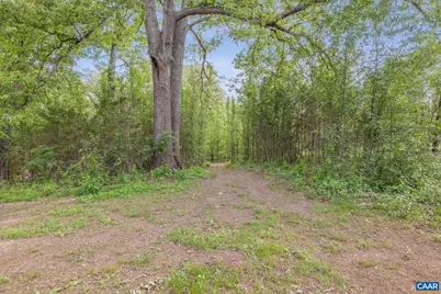 1202 Matthew Mill Rd, Ruckersville, VA 22968 - Photo 27