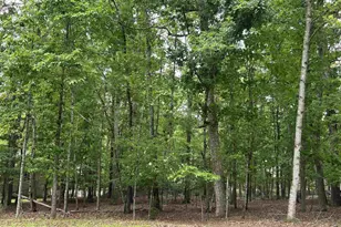 25 Laguna Rd, Palmyra, VA 22963 - Photo 1