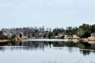 321 Mistland Trail, Ruckersville, VA 22968 - Photo 49