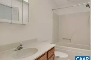 259 Spring Oaks Ln, Ruckersville, VA 22968 - Photo 23