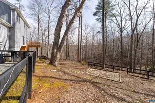 49 Kiowa Ln, Palmyra, VA 22963 - Photo 63