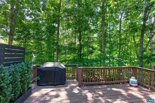 63 Turkeysag Trail, Palmyra, VA 22963 - Photo 13