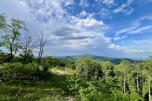248 Raven Way, Free Union, VA 22940 - Photo 45