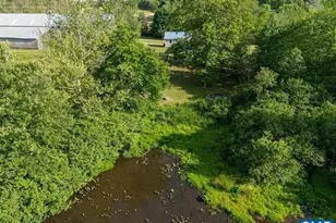 160 Old Farm Hollow, Mineral, VA 23117 - Photo 45