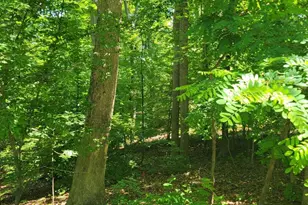 8 Mechunk Terrace, Palmyra, VA 22963 - Photo 1