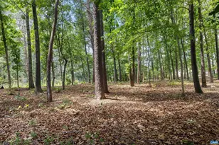 165 Hemlock Ln, Barboursville, VA 22923 - Photo 9