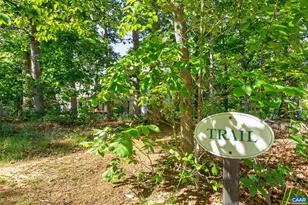 251 Pelham Dr, Keswick, VA 22947 - Photo 45
