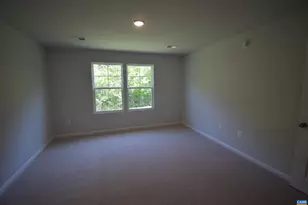 335 Horse Path Dr, Charlottesville, VA 22902 - Photo 17