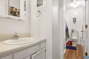288 Lake Saponi Dr, Barboursville, VA 22923 - Photo 41