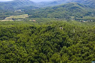 Lot C Brokenback Mountain Rd, Dyke, VA 22935 - Photo 1