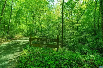 Lot C Brokenback Mountain Rd #45 A 19C, Dyke, VA 22935 - Photo 3