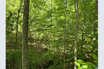 717 Jefferson Dr #SECTION 2 LOT 369, Palmyra, VA 22963 - Photo 7