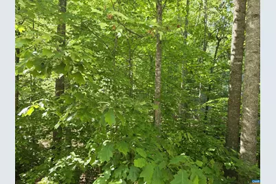 717 Jefferson Dr #SECTION 2 LOT 369, Palmyra, VA 22963 - Photo 5