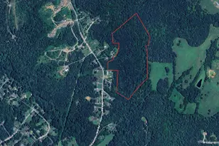 1205 Carpenters Mill Rd, Ruckersville, VA 22968 - Photo 1