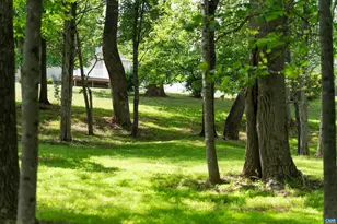 742 Valley View Rd, Ruckersville, VA 22968 - Photo 53