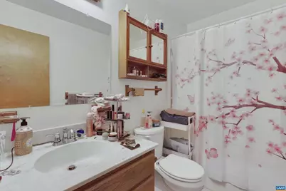 1619 Paynes Mill Rd, Troy, VA 22974 - Photo 9