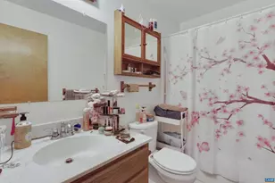 1619 Paynes Mill Rd, Troy, VA 22974 - Photo 9