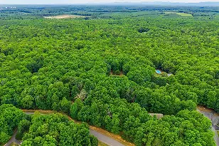 59 Fox Trot Ln, Palmyra, VA 22963 - Photo 45