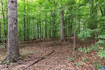 258 Palmer Pl, Ruckersville, VA 22968 - Photo 31