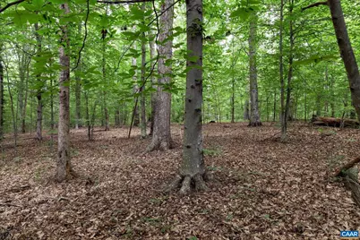 258 Palmer Pl, Ruckersville, VA 22968 - Photo 29