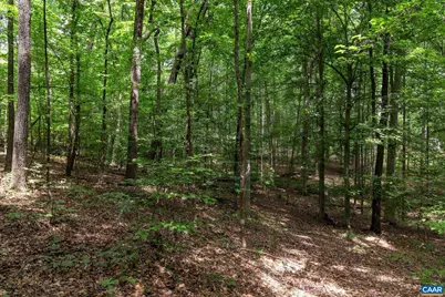 242 Palmer Pl, Ruckersville, VA 22968 - Photo 59