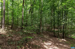 242 Palmer Pl, Ruckersville, VA 22968 - Photo 59