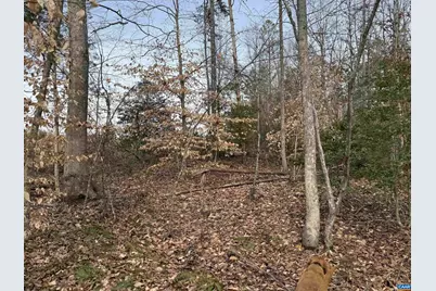 Tbd Community House Rd, Kents Store, VA 23084 - Photo 31