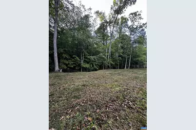 0 Fredericksburg Rd, Ruckersville, VA 22968 - Photo 5