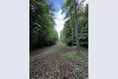 0 Fredericksburg Rd, Ruckersville, VA 22968 - Photo 3