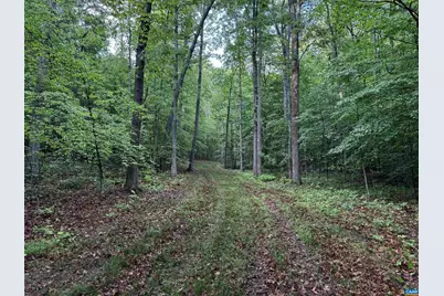 0 Fredericksburg Rd, Ruckersville, VA 22968 - Photo 7