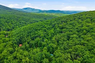 974 Bull Yearling Rd, Stanardsville, VA 22973 - Photo 51