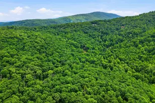 974 Bull Yearling Rd, Stanardsville, VA 22973 - Photo 59