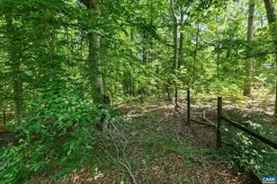 2257 Columbia Rd, Zion Crossroads, VA 22942 - Photo 31