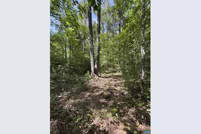 0 Bambi Ct #7828008836, Beaverdam, VA 23015 - Photo 7